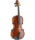 STAGG VN-4/4 VIOLON 4/4 & SOFTCASE STANDARD