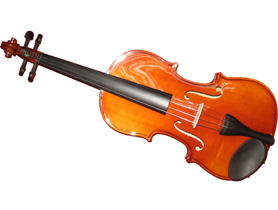 HERALD AS144E - Violon 4/4 tout érable massif érable, Touche ébène, livré avec archet, colophane et soft-case