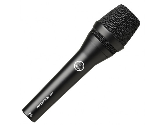 AKG P5S Microphone Chant Avec Switch Rockamusic