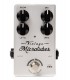 DARKGLASS ELECTRONICS VMT - Vintage Microtubes