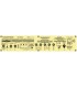 VICTORY AMP V40H Deluxe - Tête 40 Watts tout lampes "The Duchesse Deluxe", Made in UK