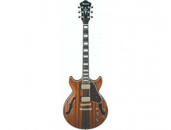 IBANEZ AM93MENT - Guitare Hollowbody Demi-Caisse, série Artcore, Ebène de Macassar