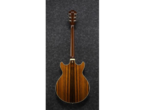 IBANEZ AM93MENT - Guitare Hollowbody Demi-Caisse, série Artcore, Ebène de Macassar