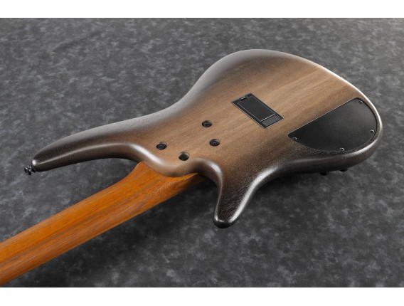 IBANEZ SR505E-SBD - Basse 5 cordes SR, Micros Bartolini, Surreal Black Dual Fade