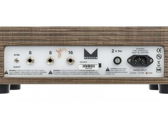 MORGAN AC-20 DELUXE HEAD DRIFTWOOD - Tête lampes 20 watts Deluxe, Finition Driftwood
