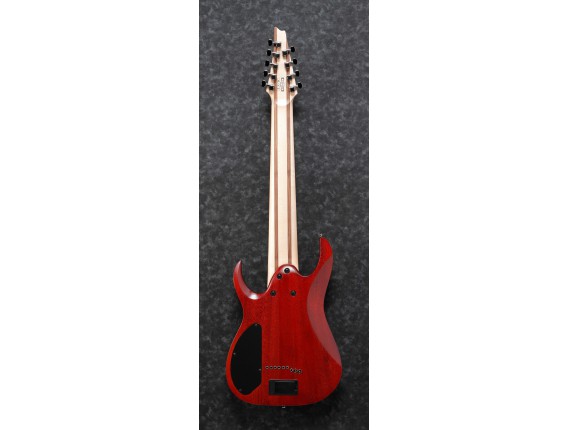 IBANEZ RGIR9FME-FDF - Guitare électrique 9 cordes Iron Label, Micro EMG 909, Faded Denim Burst Flat (no bag / No Case)