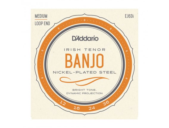 D'ADDARIO EJ63I - Jeu de cordes pour Banjo Irlandais, Light