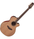 Takamine - EN40C - Guitare TAKAMINE Folk Electro acoustique - single cutaway - Table cèdre