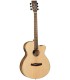 TANGLEWOOD - DBT SFCE BW (Housse deluxe fournie)