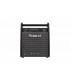 ROLAND PM-100 - Drum Monitor 80w hp 10" + tweeter