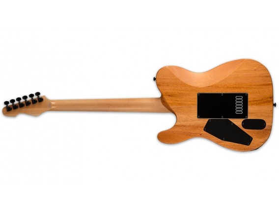 LTD - TE-1000 EVERTUNE BLKNB - BLACK NATURAL BURST
