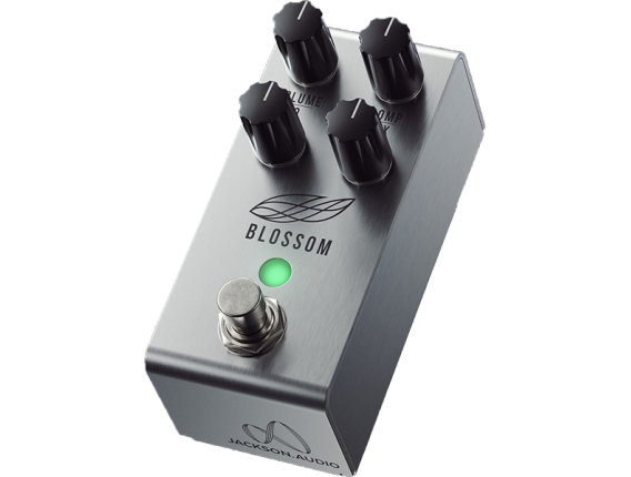 JACKSON AUDIO - Blossom Compresseur