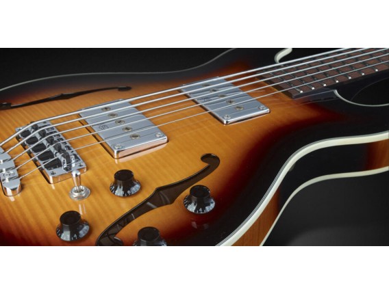 WARWICK - RockBass Star Bass, 5-String - Vintage Sunburst Transparent High Polish