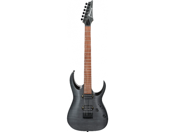 IBANEZ RGA42FMTGF - guitare électrique Transparent Grey Flat