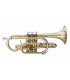 STAGG - Cornet en Sib, perce ML, corps en laiton
