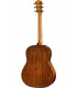 TAYLOR - American Dream AD17e Blacktop