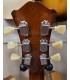 Eastman T486-GB - Goldburst Thinline Deluxe M, Semi Hollowbody, Corps et table érable, Manche érable Touche ébène, 2 Humb...