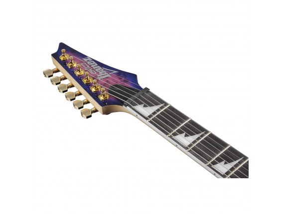 IBANEZ GRG220PARLB - Guitare électrique série GRG, Royal Purple Burst