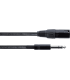 CORDIAL EM0.5MV - Câble XLR Mâle - Jack Stéréo 50 cm