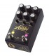 JACKSON AUDIO ASABI - Distortion/Overdrive Mateus Asato Signature