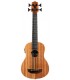 KALA UB Nomas FS - Satin Mahogany Ukulele Bass, with Bag