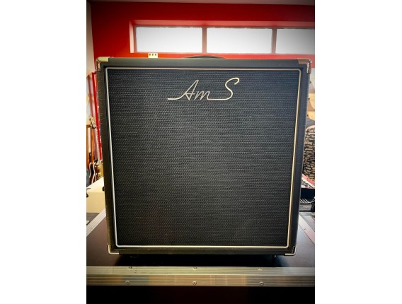 AMS AMPLIFIERS Minicab - Cabinet 1 x 12"