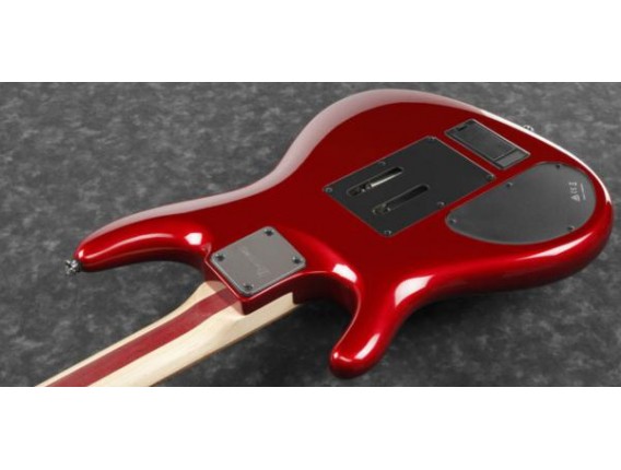 IBANEZ KRYS10 - Signature Scott Lepage, avec housse