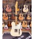 HAAR - 21678 - Trade T, Olympic White (Haar gig bag)