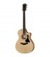 TAYLOR 112CE Special Edition -