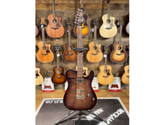 HAAR - 21287 - Trade T (Haar gig bag)
