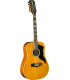EKO RANGERVR12-EQ-NAT - Guitare électro-acoustique Dreadnought 12 cordes série Ranger VR XII, Natural