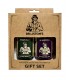 DR LISTON'S DR-GS-GRGP - Kit d'entretien Guitar Remedy + Gig Polish + Cloth