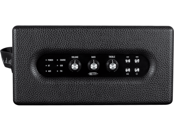 ASHDOWN BETTY - Enceinte sans fil 2 x 20" sur batterie