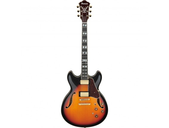IBANEZ AS113BS - Guitare Hollowbody série 113, Sunburst + Flightcase