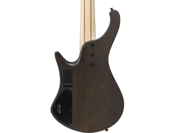 EHB605WNF - Bass électrique 5 cordes Workshop Headless, Natural Low Gloss, Avec Housse (copie)