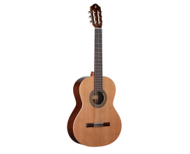 RAIMUNDO - R100