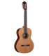 RAIMUNDO - R100