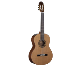 Raimundo R300
