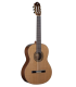 Raimundo R300