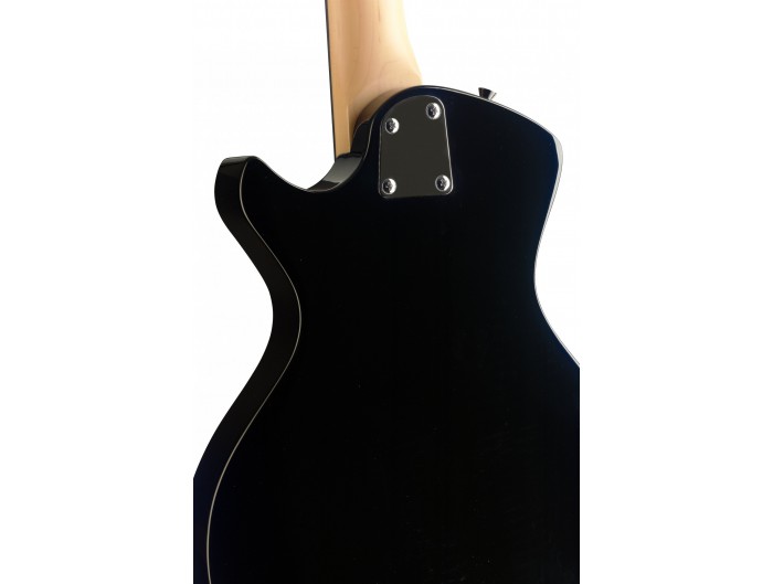Guitares électriques à doubles manches (49 produits) - Audiofanzine