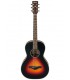 IBANEZ AN-60 BSM - Guitare acoustique Parlor, Table épicéa Sitka massive, corps acajou, Brown Sunburst Mat