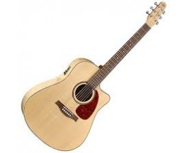 SEAGULL Performer CW Dreadnought, Electro QI, Corps Flame Maple, Finition Naturelle High Gloss (avec housse)