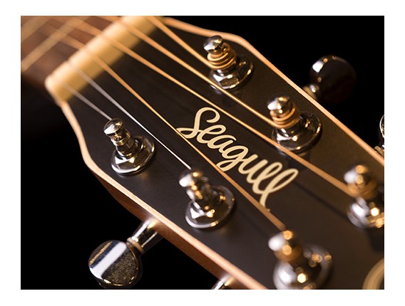 SEAGULL Entourage Automn Burst CW QIT, Dreadnought pan coupé électro-acoustique QIT, Cédre / merisier, Finition satinée Automn B