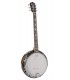 RICHWOOD RMB-906 - Banjo Guitare 6 cordes, Caisse acajou, Manche acajou touche noyer du Perou, Cerclage aluminium 24 tirants, Pe