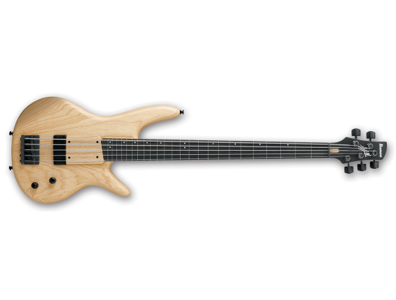 IBANEZ GWB205-NTF - Basse Fretless 5 cordes Signature Gary Willis, Corps Frêne, Touche ébène, Electronique Bartolini, Naturel, E